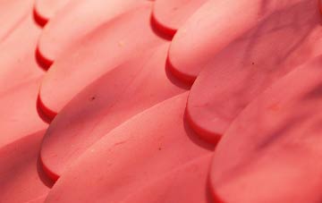 Inverguseran plastic roof costs