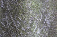 Inverguseran fibreglass roof work