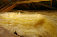 Inverguseran pitch roof insulation